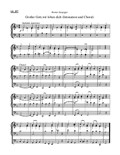Großer Gott, wir loben dich (Intonation und Choral)